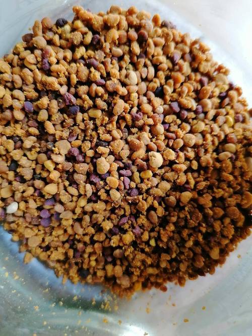 鱼饲料哪个牌子好又便宜？十大品牌实测推荐！养鱼人必看选购指南