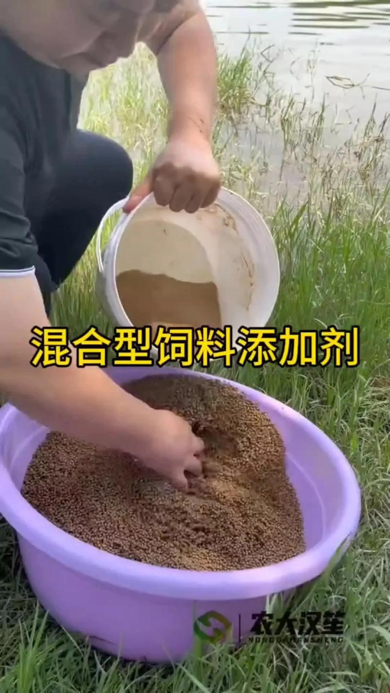 农大汉笙丁酸梭菌混合型饲料添加剂 水产与畜牧养殖的开口摄食与肠道健康解决方案