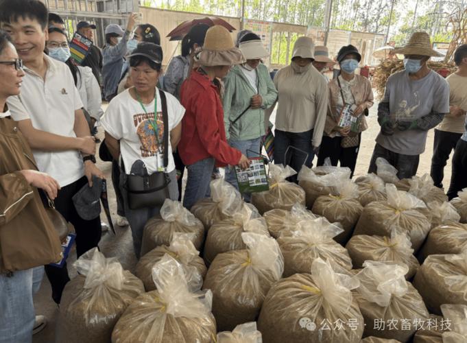 发酵饲料受青睐,生态基地引畜牧人纷至沓来